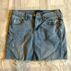 Brandy Melville Jean Denim Mini Skirt